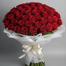 Букет 101 Красная роза Блэк Мэджик #REPLACE_PRED# Козет