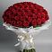 Букет 101 Красная роза Блэк Мэджик в Козет