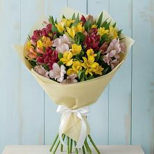 Букет цветов из:  Альстромерии в Козет