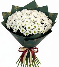 Букет цветов из:  Хризантемы в Козет