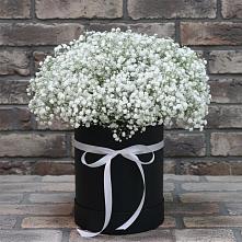 Цветочная композиция из Гипсофила в шляпной коробке в Козет