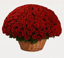 Премиум букет из: Розы в Козет